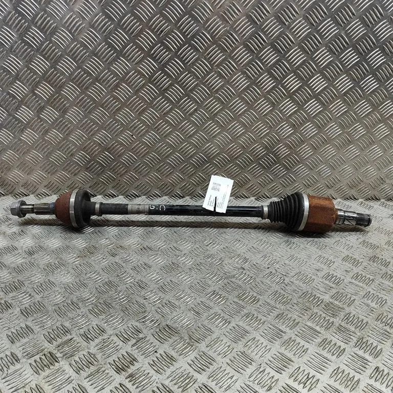 Aizmugurējā pusass 118816599A