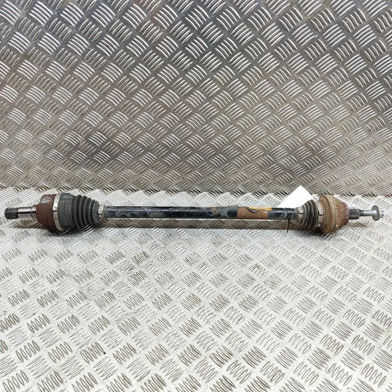 Aizmugurējā pusass 1EA501204J