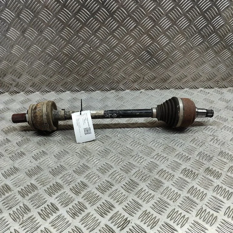 Aizmugurējā pusass 31492862