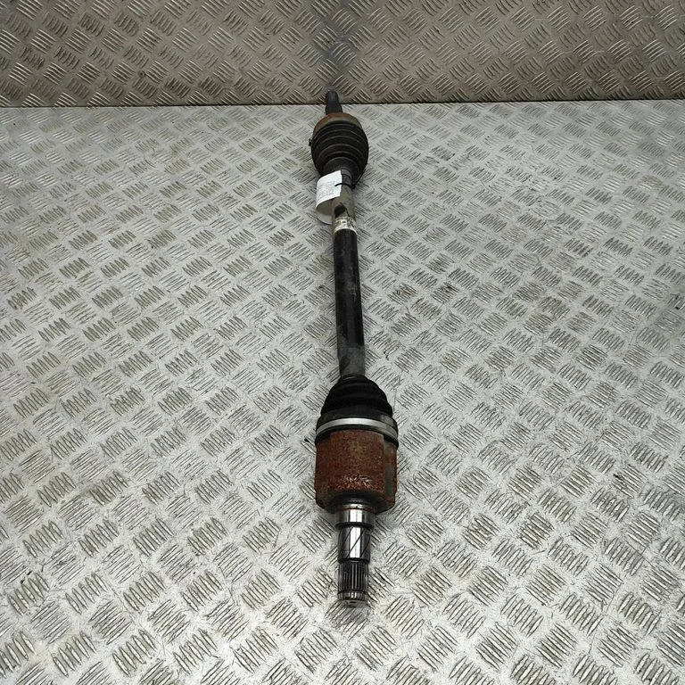 Aizmugurējā pusass 100771900C