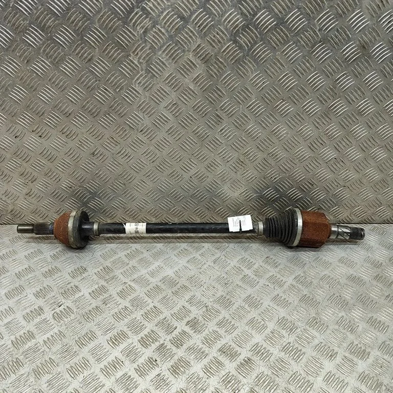 Aizmugurējā pusass 118816599A