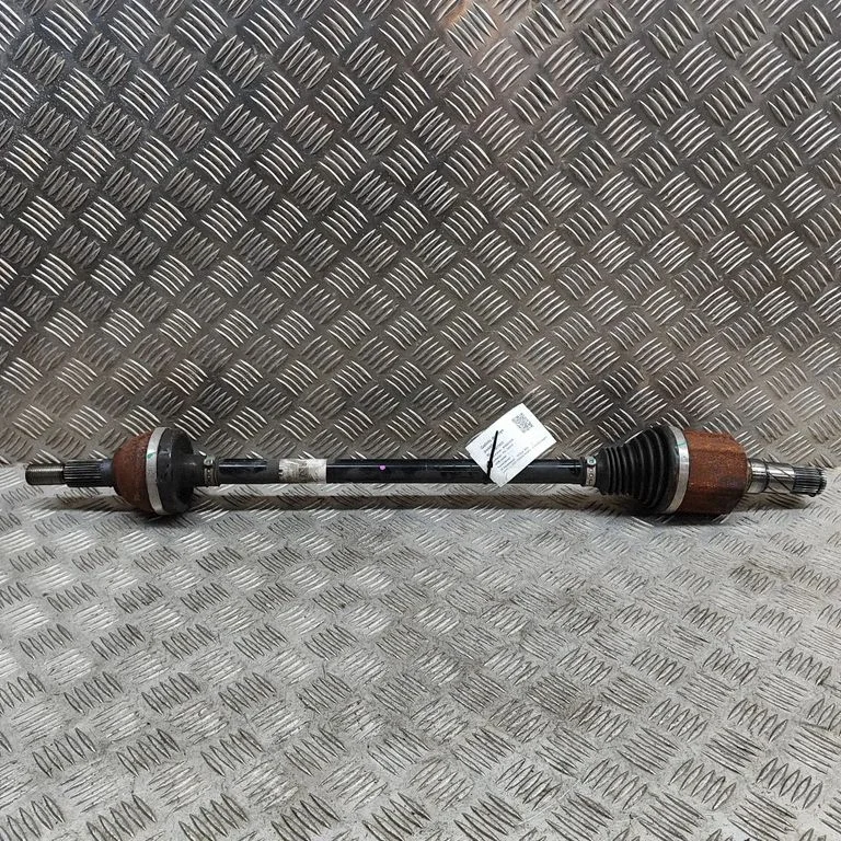 Aizmugurējā pusass 118816599A