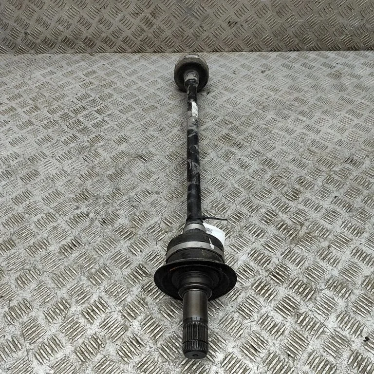 Aizmugurējā pusass 8679944