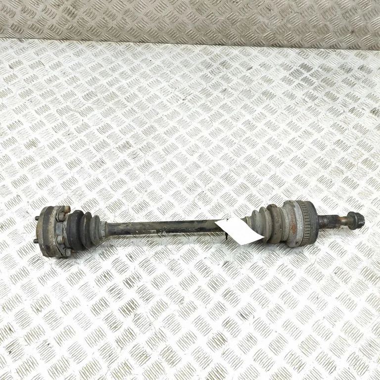 Aizmugurējā pusass 99633202403
