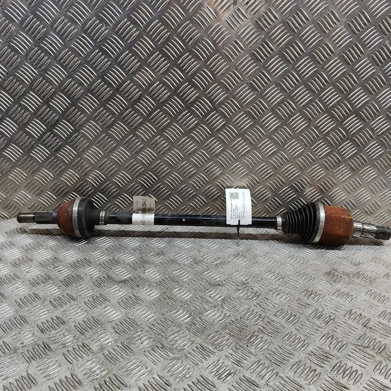 Aizmugurējā pusass 118816599A