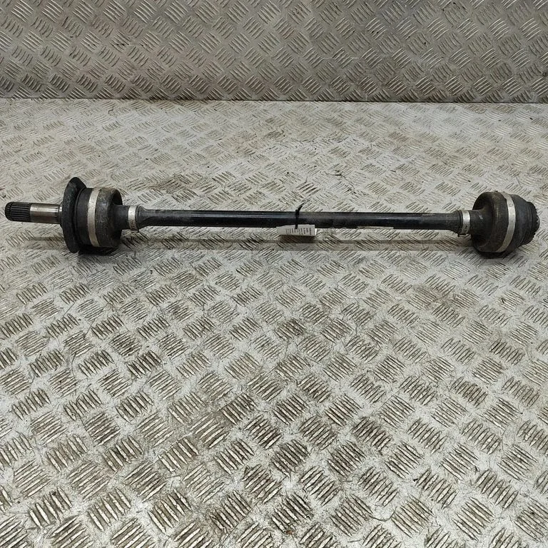 Aizmugurējā pusass 8679968