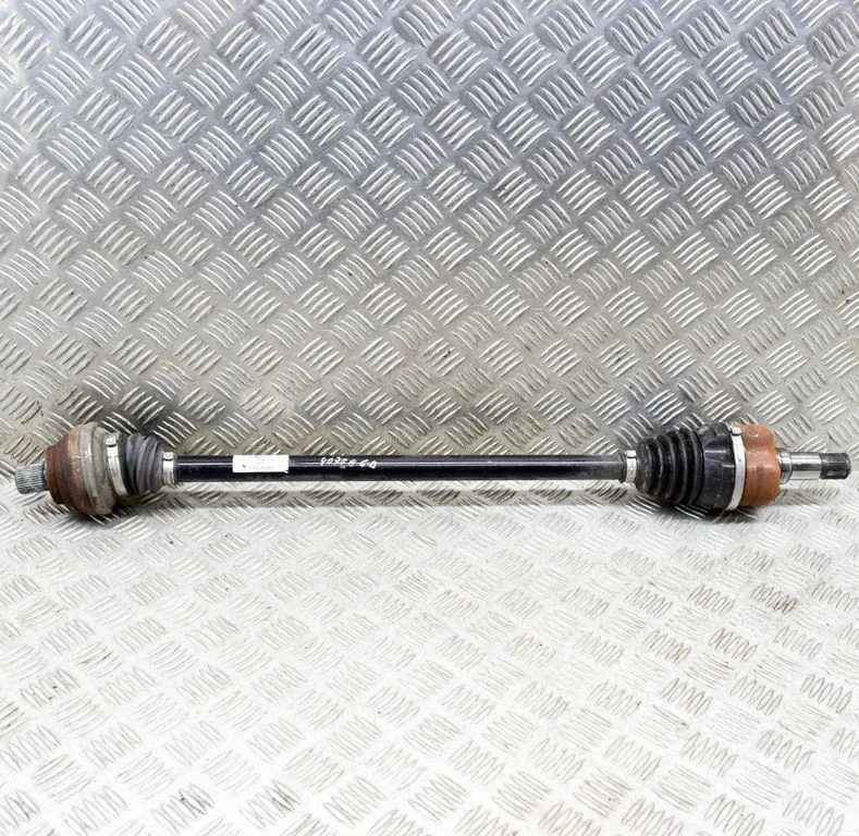 Aizmugurējā pusass 1EA501204G