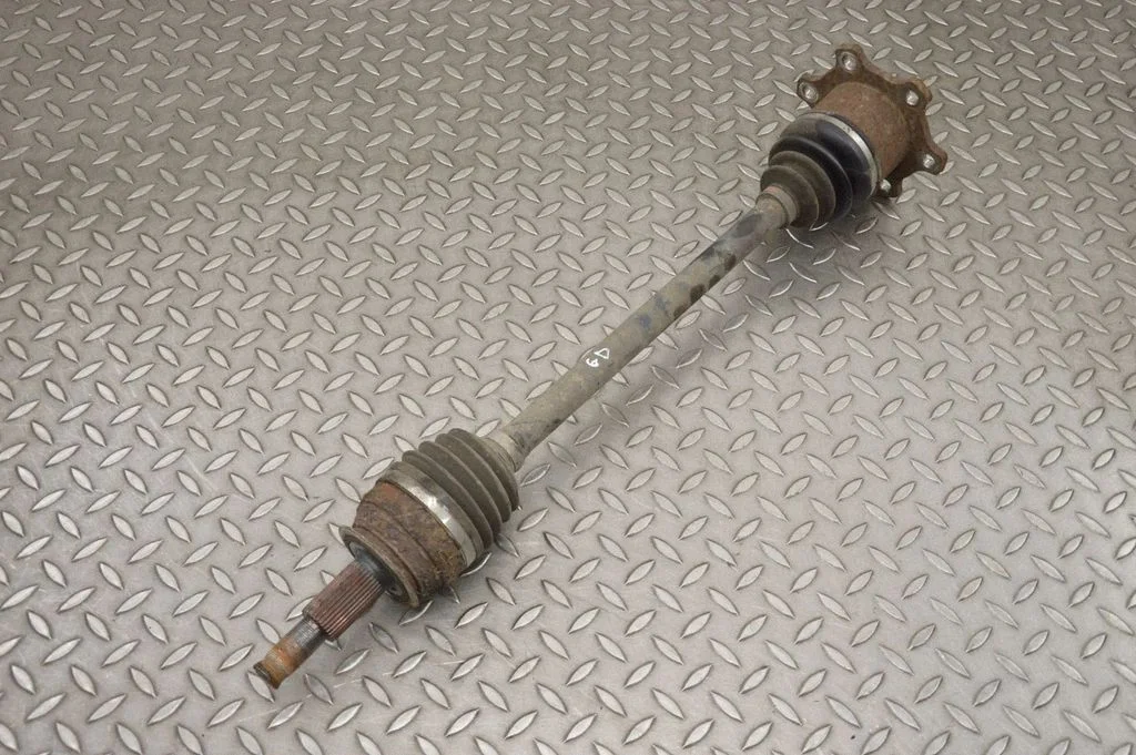 Aizmugurējā pusass – labā