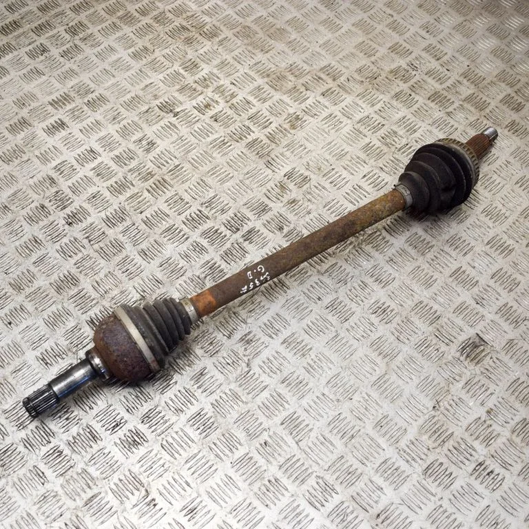 Aizmugurējā pusass – labā