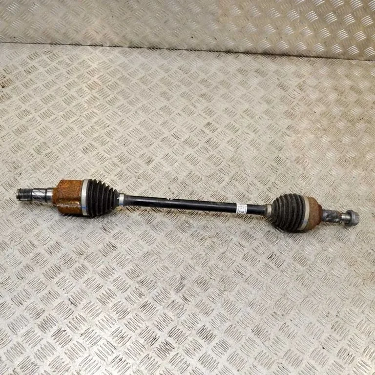 Aizmugurējā pusass 104416100D