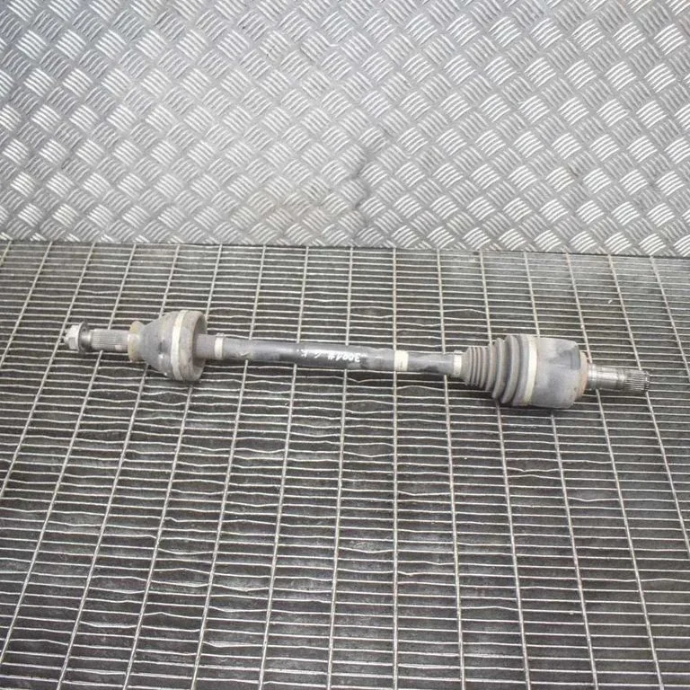 Aizmugurējā pusass 670005454