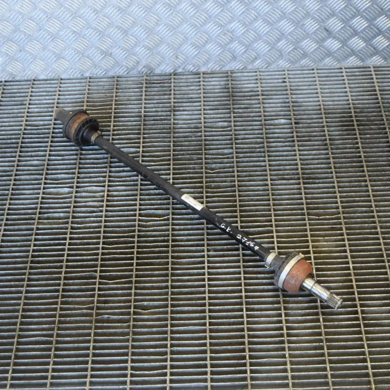 Aizmugurējā pusass 31325816