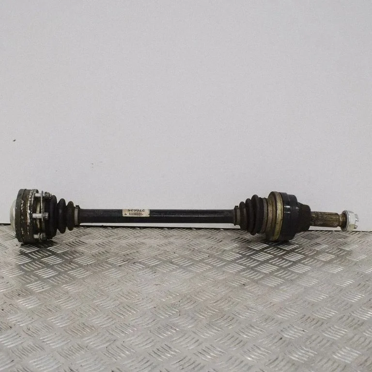 Aizmugurējā pusass 270625