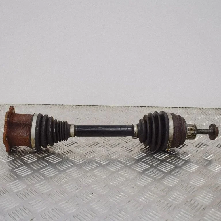 Aizmugurējā pusass – labā