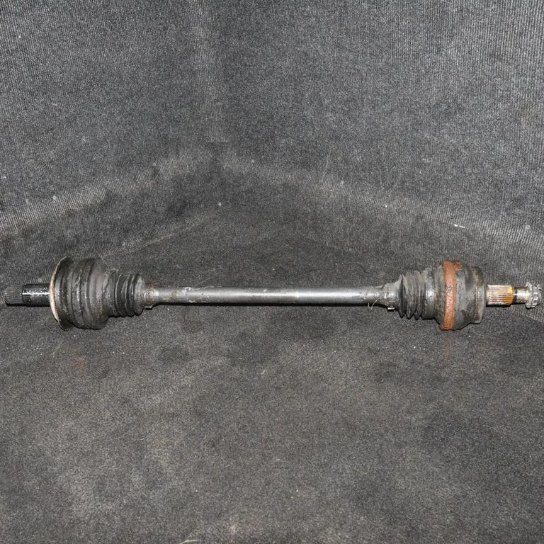 Aizmugurējā pusass – labā
