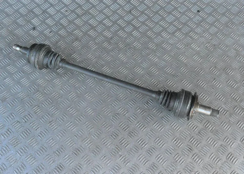Aizmugurējā pusass – labā