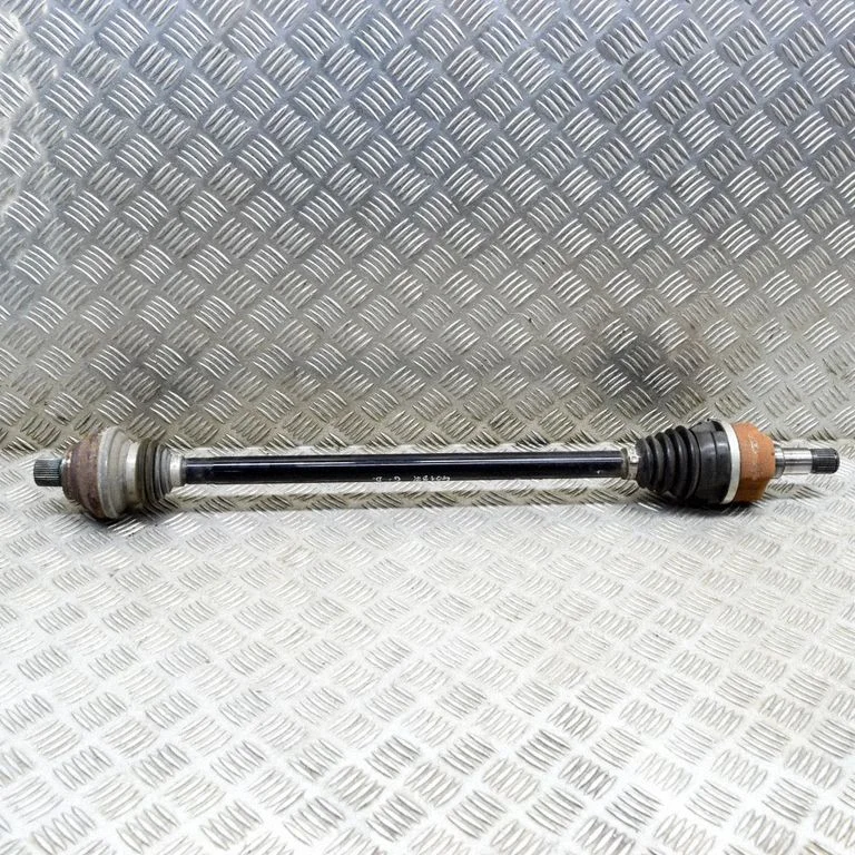 Aizmugurējā pusass 1EA501204J