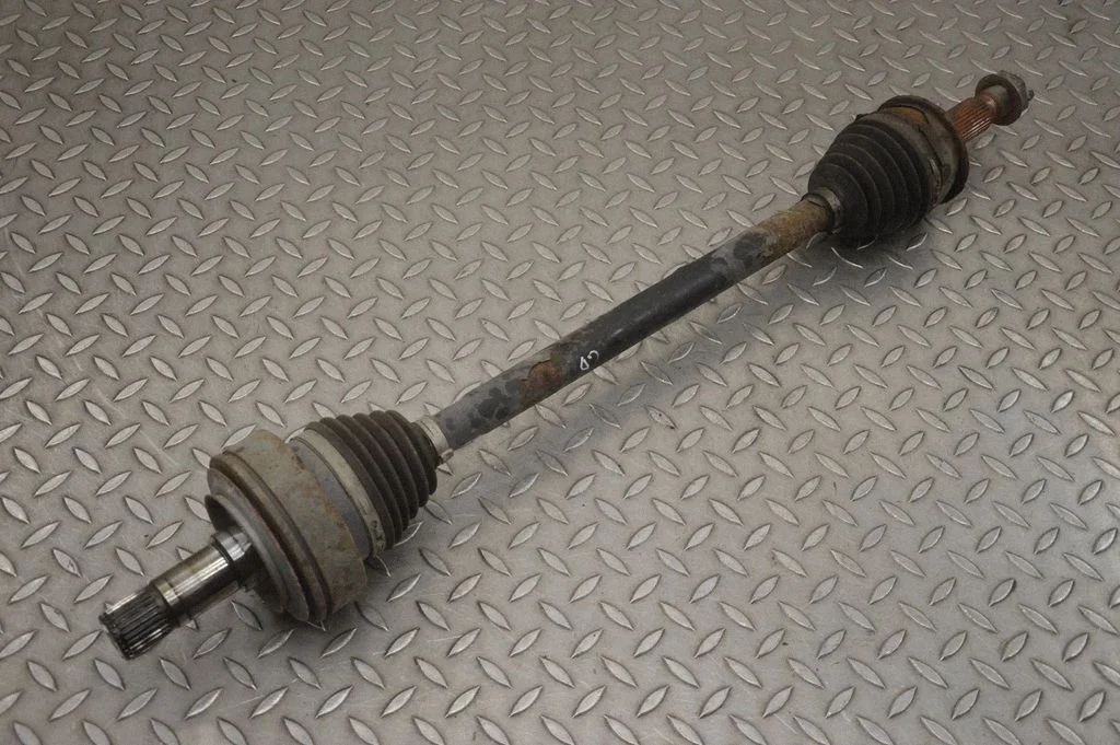 Aizmugurējā pusass – labā