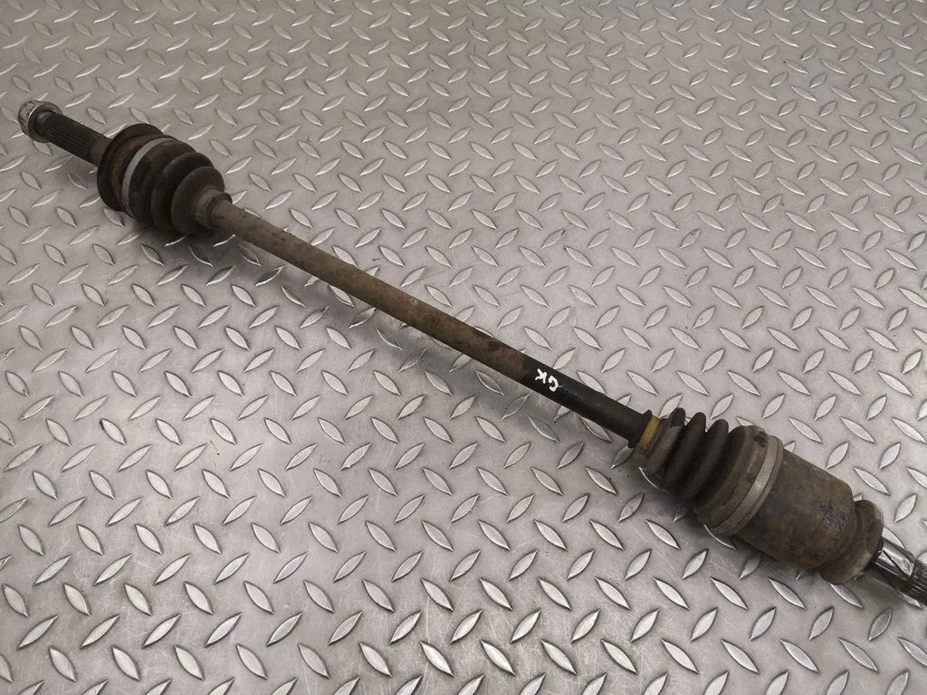 Tagumine pooltelg – vasak