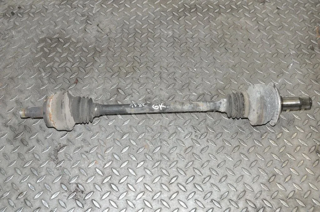 Tagumine pooltelg – vasak