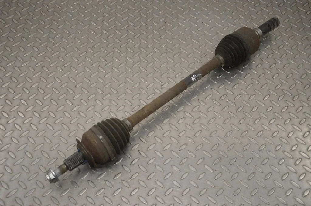 Aizmugurējā pusass – labā