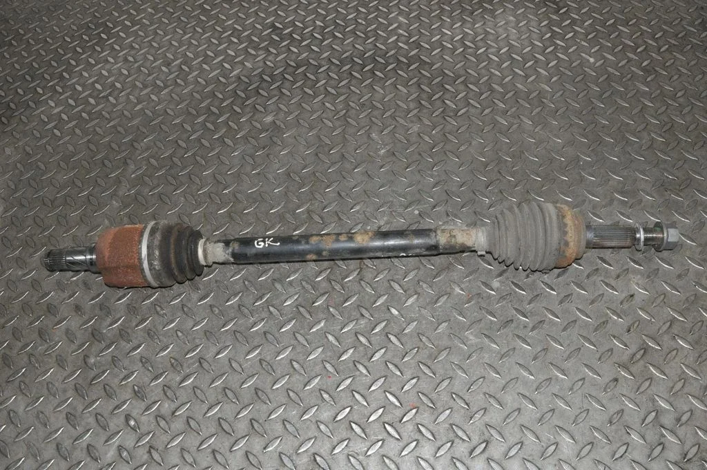 Tagumine pooltelg 100771901A