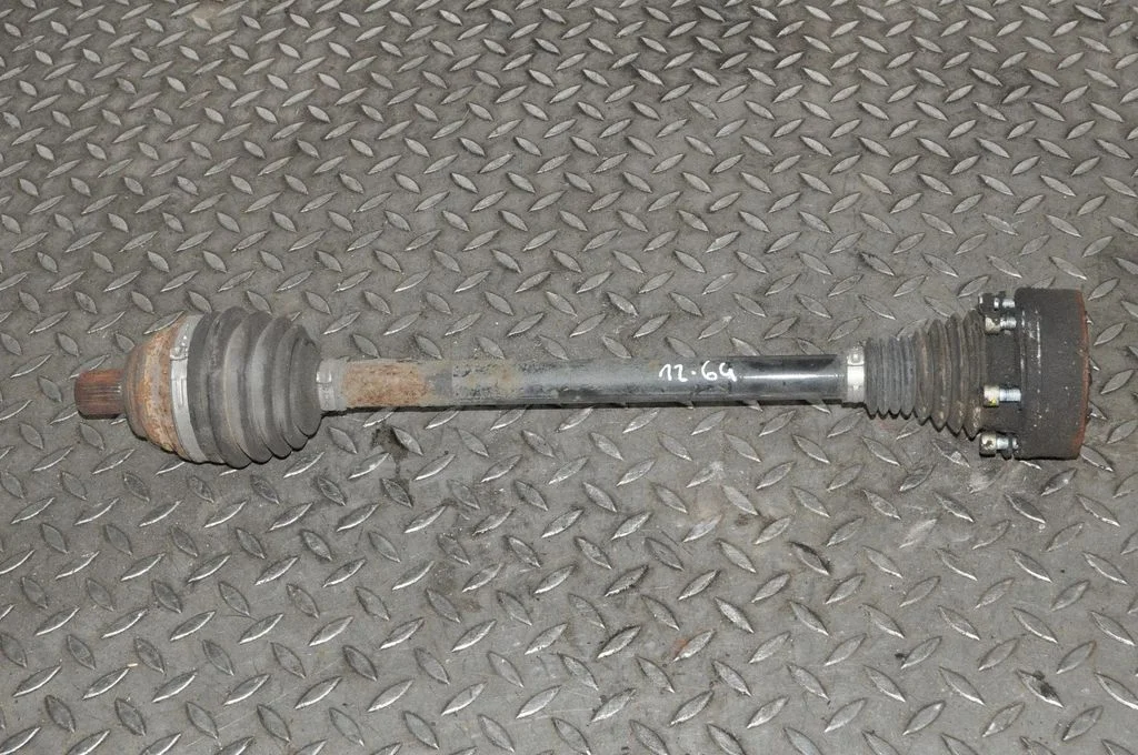 Aizmugurējā pusass – kreisā