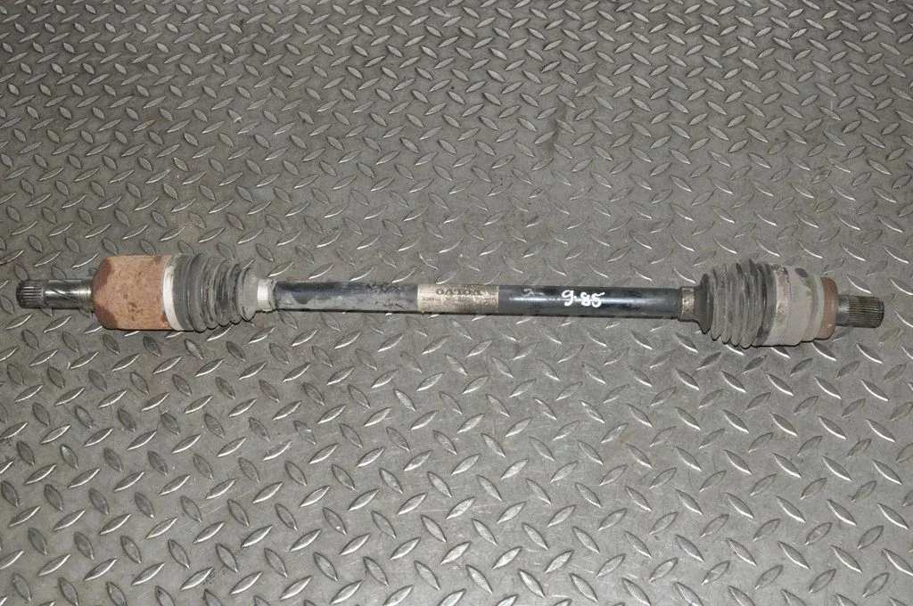 Aizmugurējā pusass P31259503