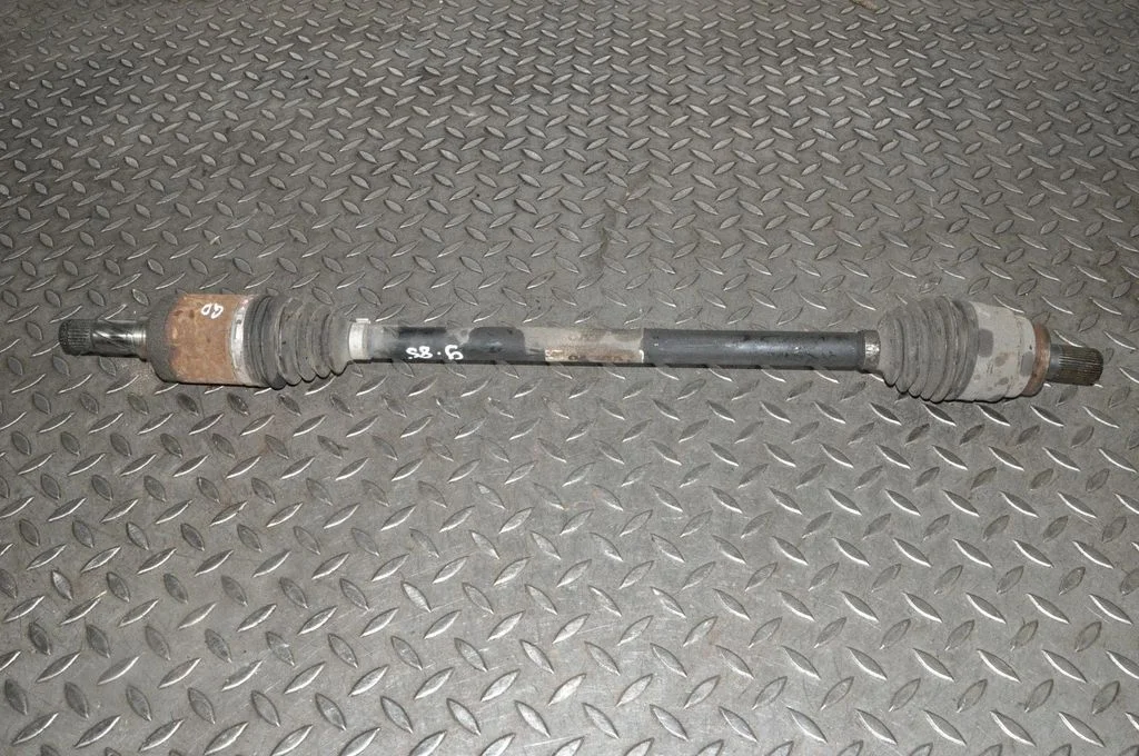 Aizmugurējā pusass P31259503