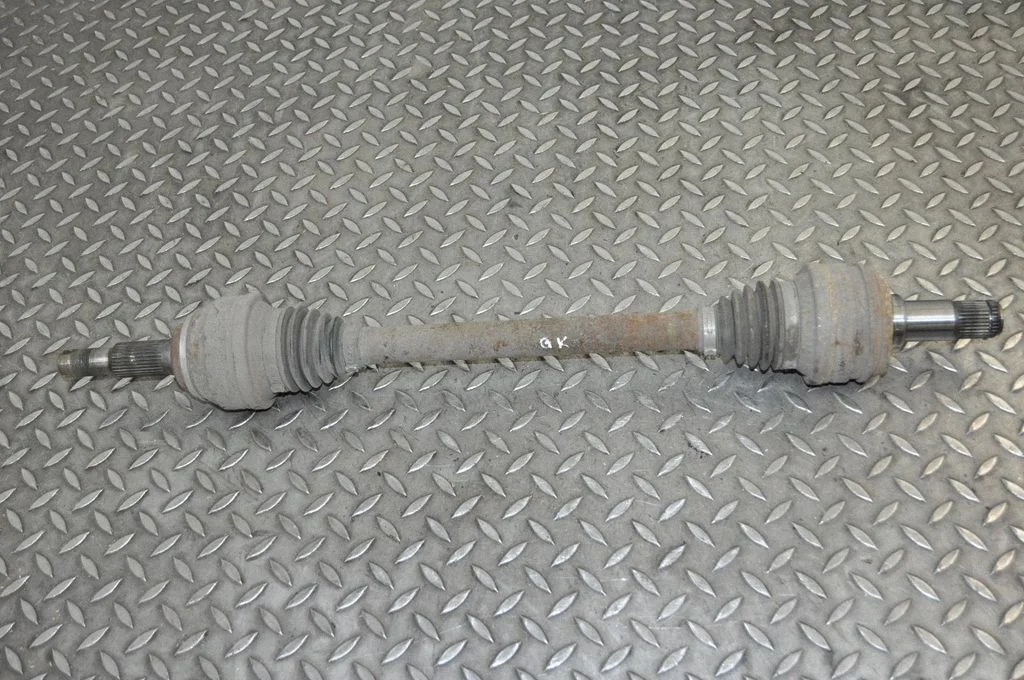Aizmugurējā pusass – kreisā