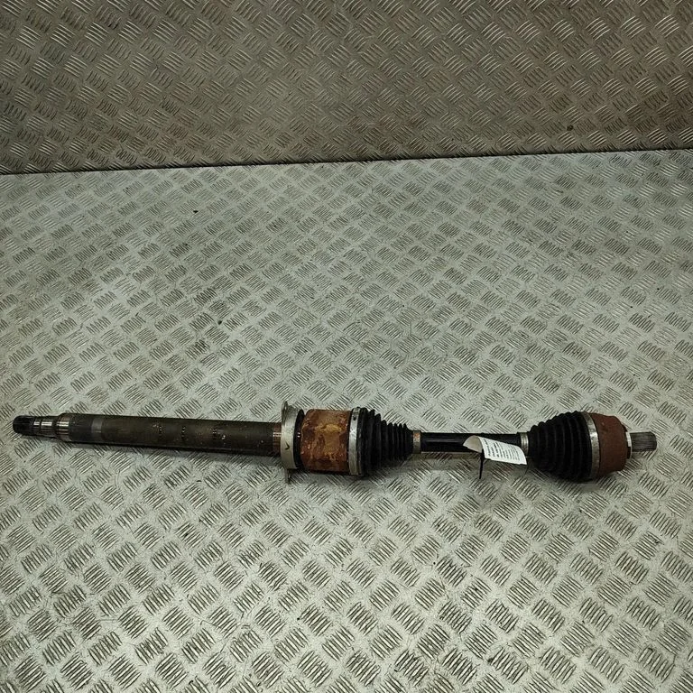 Priekšējā pusass 31460279