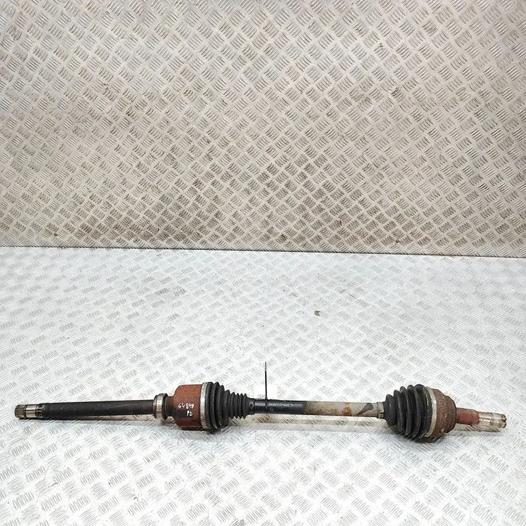 Priekšējā pusass 1614306380
