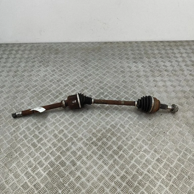 Priekšējā pusass 1614305780