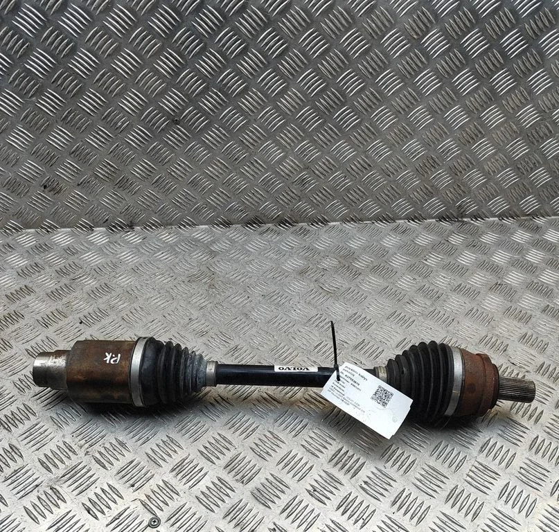 Priekšējā pusass 31345298