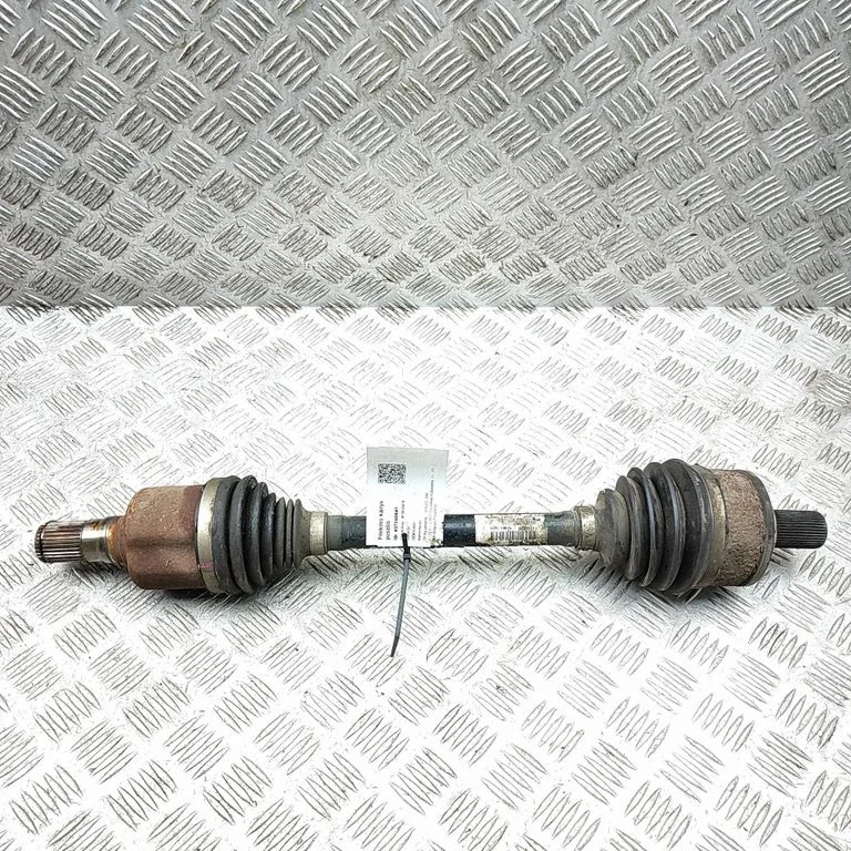 Priekšējā pusass 31325586
