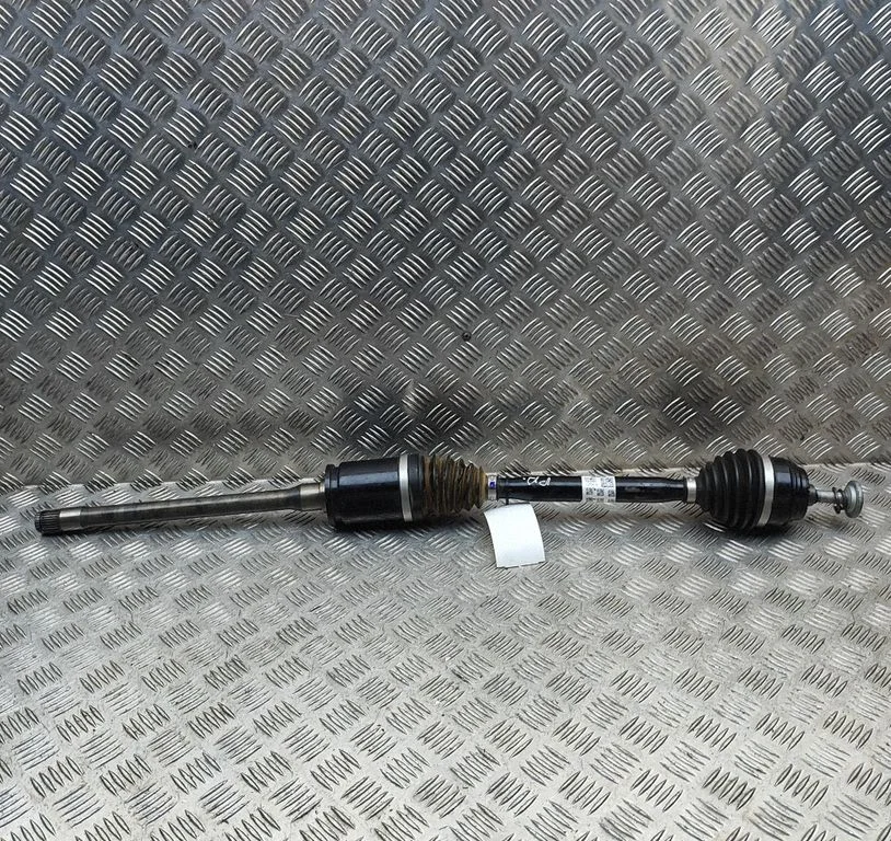 Priekšējā pusass 8486202