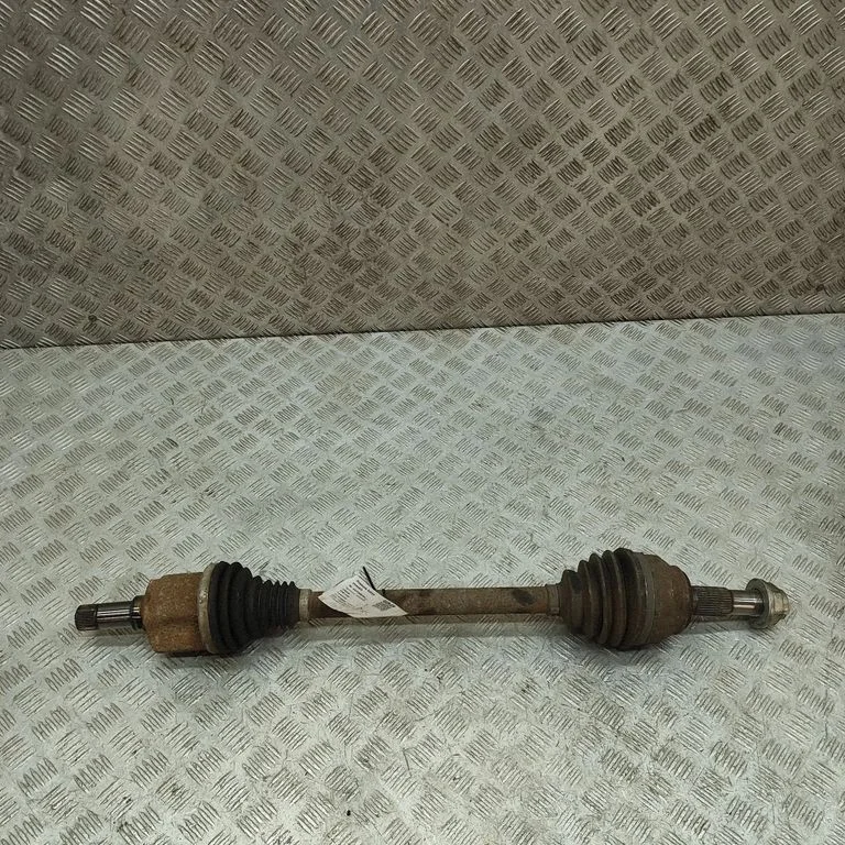 Priekšējā pusass 1623133480