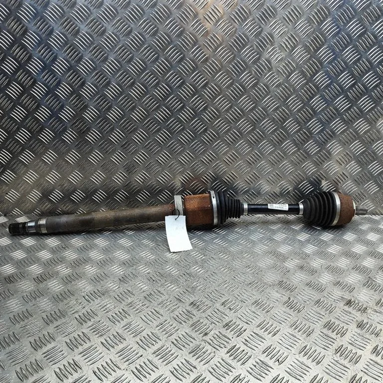Priekšējā pusass 31460279