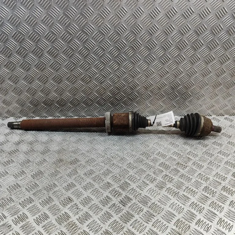 Priekšējā pusass 31367199