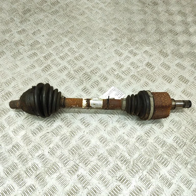 Priekšējā pusass 31259517