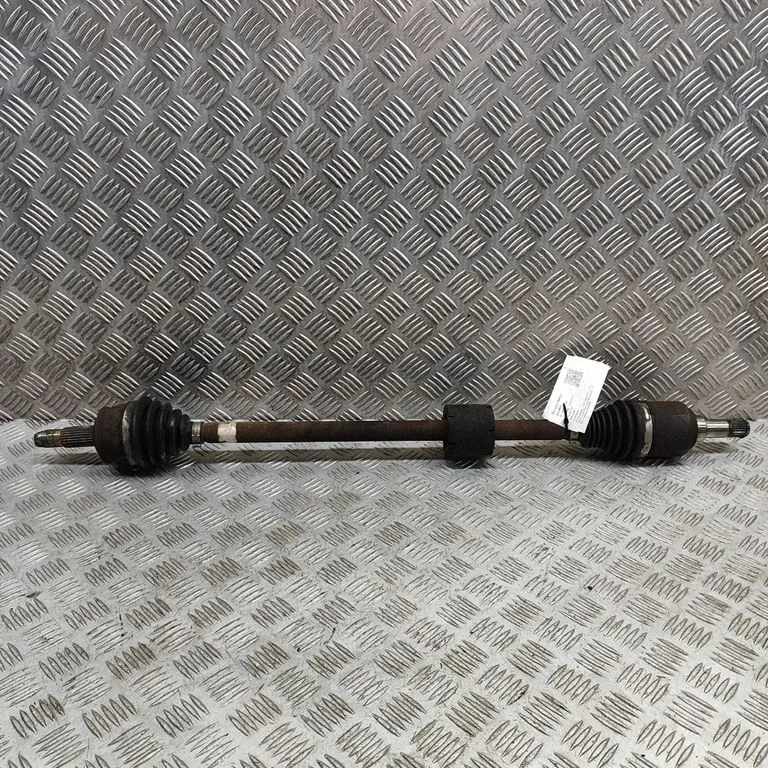 Priekšējā pusass 51929168