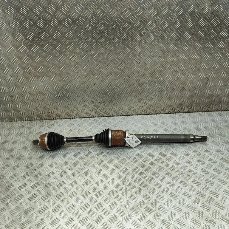 Priekšējā pusass 31460279
