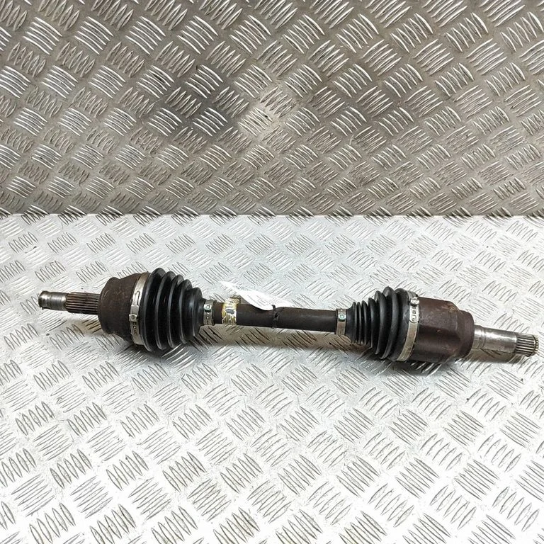 Priekšējā pusass 51961297