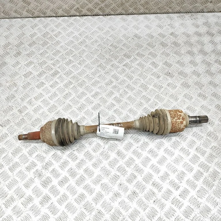 Priekšējā pusass 93453896