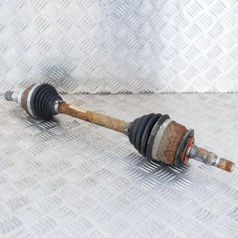 Priekšējā pusass 13367061