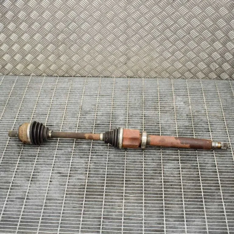 Priekšējā pusass 31325570