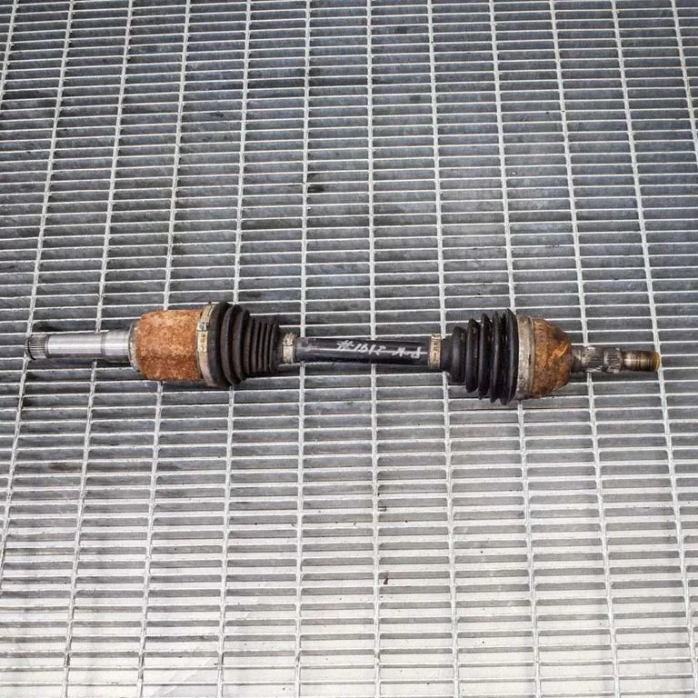 Priekšējā pusass 13250832
