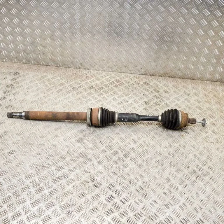 Priekšējā pusass 31325702