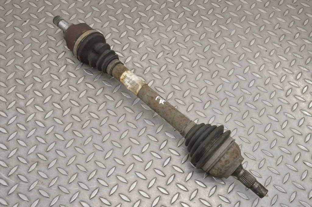 Priekšējā pusass 1269438