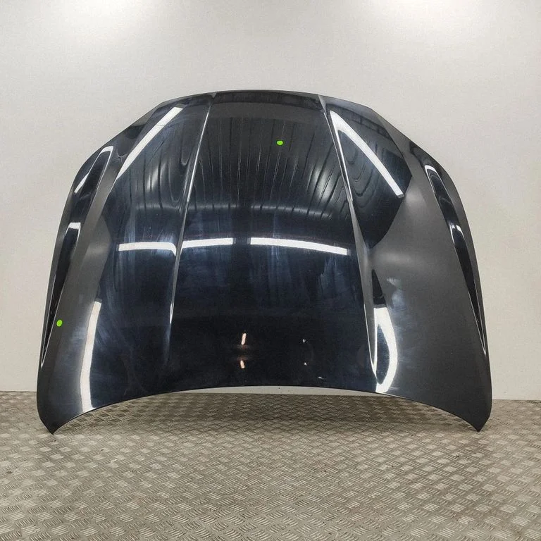 Motora pārsegs 673004773